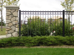 Iron Fencing with Design